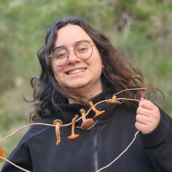 רוני פיליפוביץ